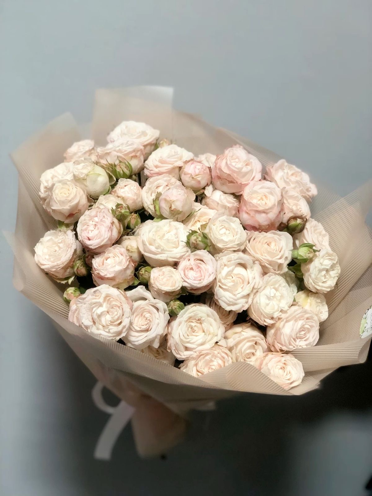 Bouquet of 50 bush beige roses "Lady Bombastic" in the online flower shop BlumenHorizon