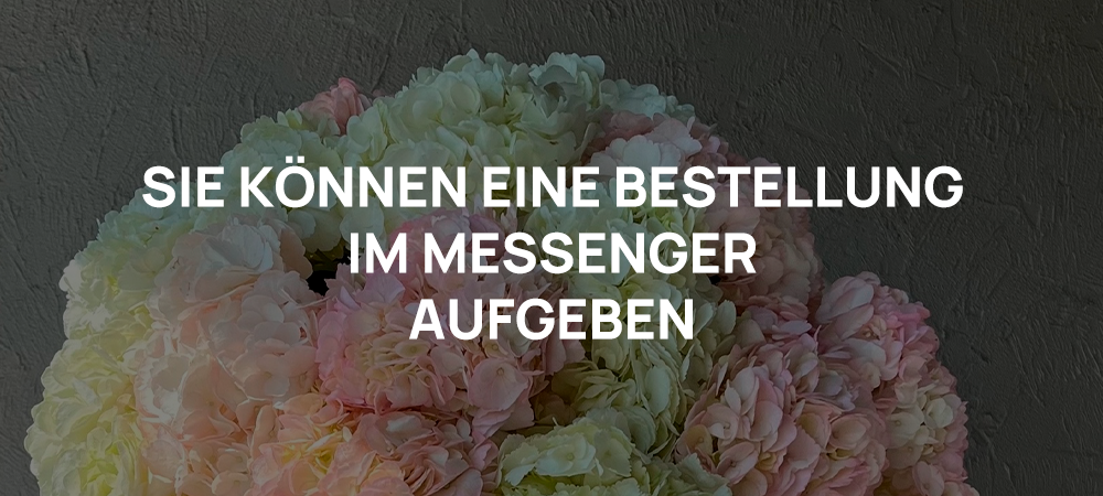 Sie könne eine Bestellung in Messenger aufgeben